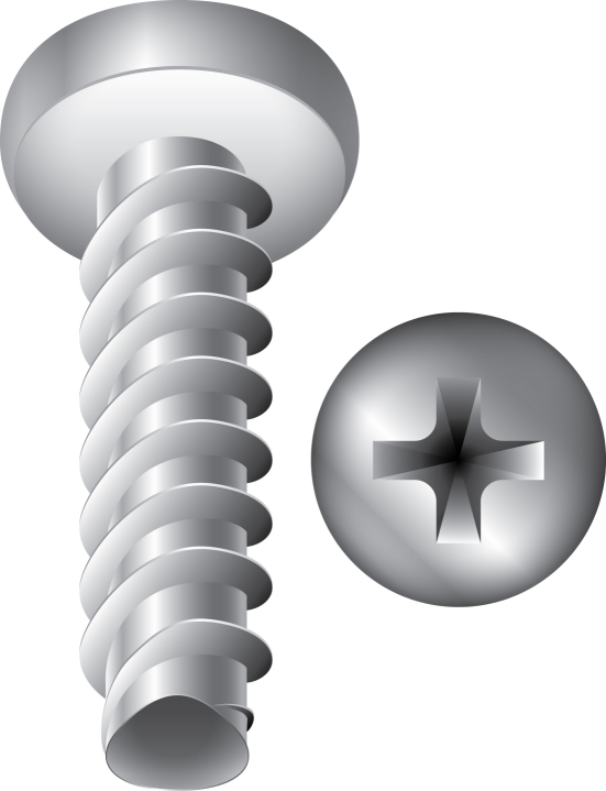LPP0604 - #6 x 1/4 - Thread forming screws, trilobular, for plastic 100 pcs/pkg