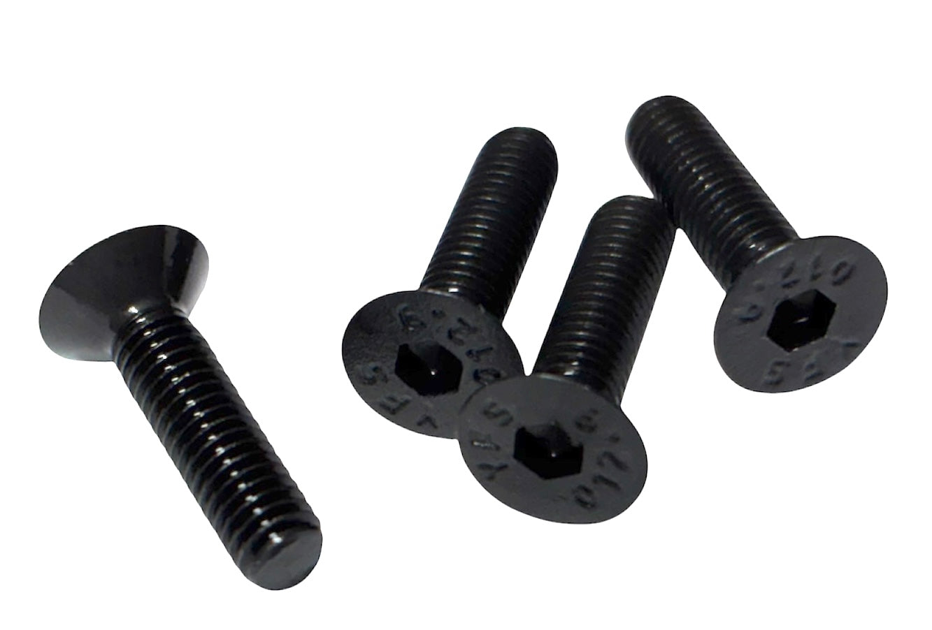 (SFM3012) ALLOY FLAT HEAD SOCKET SCREW M3 X 12mm - 20 pcs/pkg