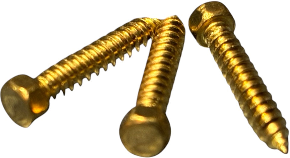 (LSB0106) BRASS HEX HEAD LAG SCREW #1 X 3/8 - 100 pcs/pkg