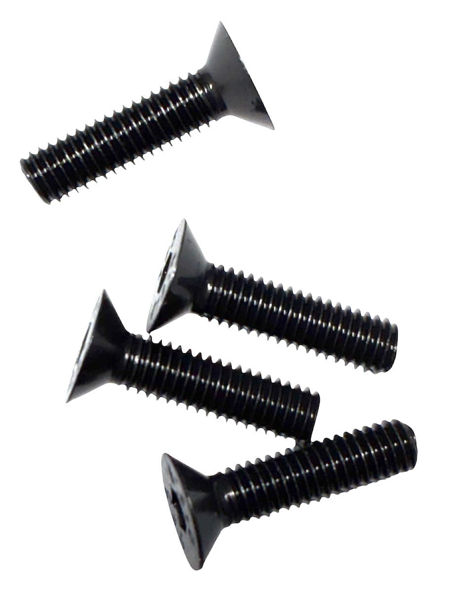 (SFM2008) ALLOY FLAT HEAD SOCKET SCREW M2 X 8mm - 20 pcs/pkg